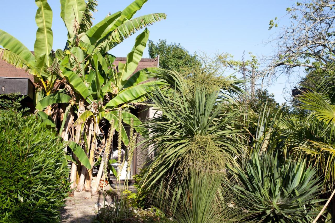 Villa Margaux Fargues-Saint-Hilaire Exteriér fotografie